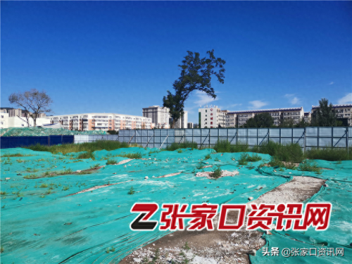 张家口市五中(张家口五中教师张际翔)插图3