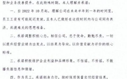 国美公司排名前十(国美集团中国排名)