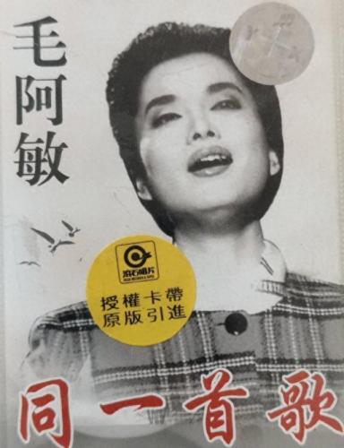 毛阿敏个人简历(毛阿敏经典歌曲)插图18