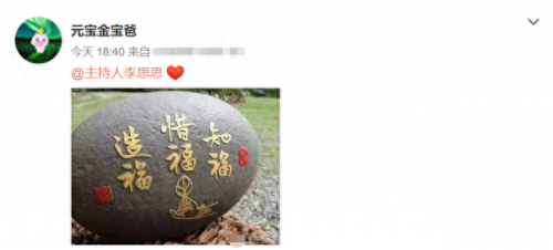 李思思丈夫是谁(李思思怎么离婚的)插图1