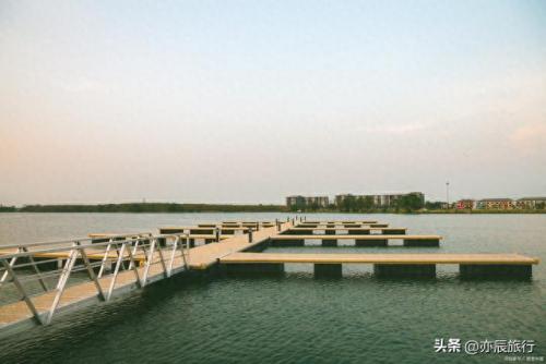 东营景点排名前十(东营著名景点)插图11