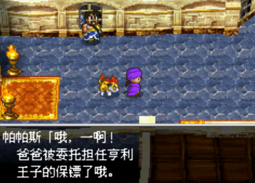 nds勇者斗恶龙6详细攻略(nds勇者斗恶龙6最强阵容)插图24