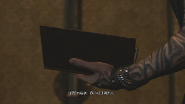 阿卡纳之王(阿卡纳·高塔姆照片)插图6