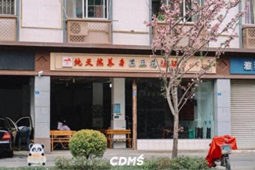 成都十陵镇小吃排名前十(成都十大排名小吃)插图57