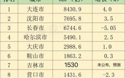 长春经济排名前十(长春经济全国排名)