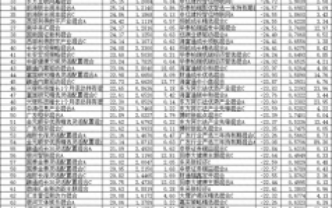 民族证券同花顺(民族证券何东)