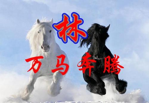 百家姓qq头像(百家姓头像大全真实图)插图3