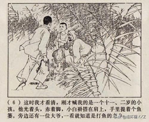 芦荡小英雄(电影芦荡小英雄)插图8