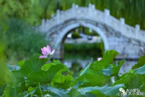 最有味道的大学排名前十(心理学排名前十的大学)插图18