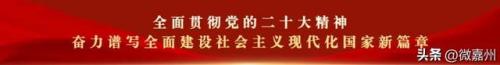 排名前十个(前20名排名)插图