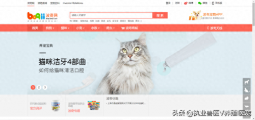 狗狗软件搜索(看狗狗品相软件)插图6