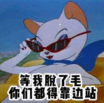 排名前十的脱毛机(大型脱毛机哪个牌子好)插图78