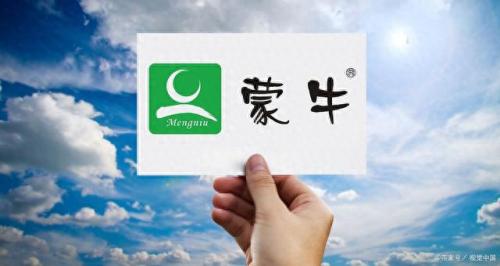 美国冰淇淋排名前十(美国最好的冰淇淋)插图3