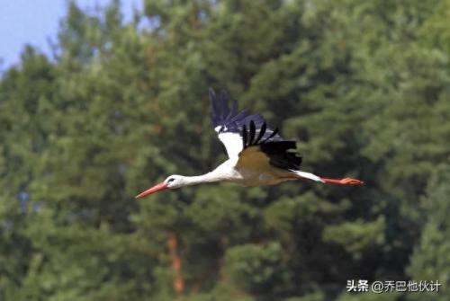 全球生态环境监测排名前十(全球环境生态工程排名)插图2