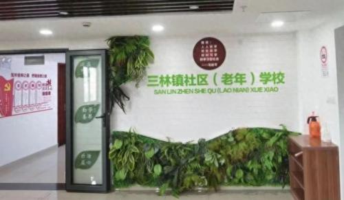 上海老年大学学校排名前十(上海的老年大学状况)插图3