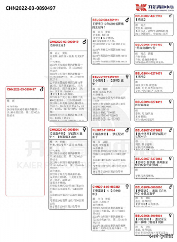 尼尔森赛鸽公棚春棚(尼尔森赛鸽公棚)插图5