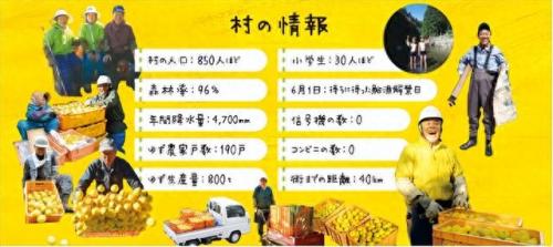 日本柚子排名前十(柚子品质排名前十名)插图14