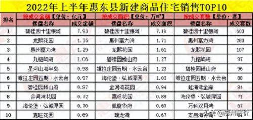 惠州地产排名前十(惠州十大地产公司排名)插图6