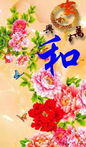 百家姓qq头像(百家姓头像大全真实图)插图64