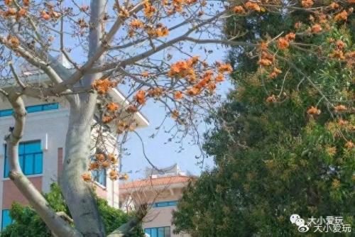 最有味道的大学排名前十(心理学排名前十的大学)插图11
