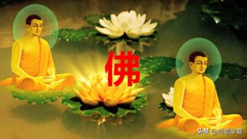 玄学论坛(玄学吧贴吧)插图5