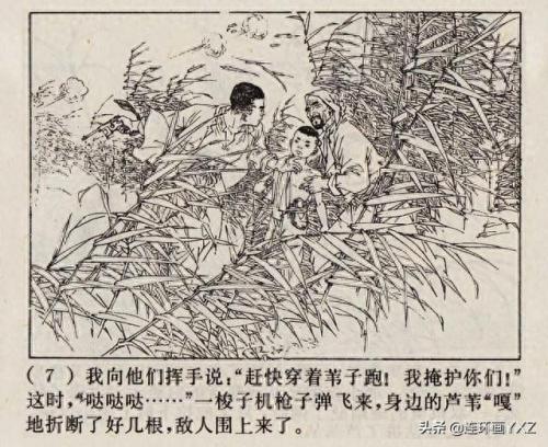 芦荡小英雄(电影芦荡小英雄)插图9