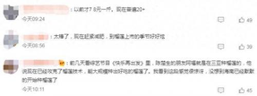 榴莲糖度排名前十(榴莲升糖指数排行榜)插图3