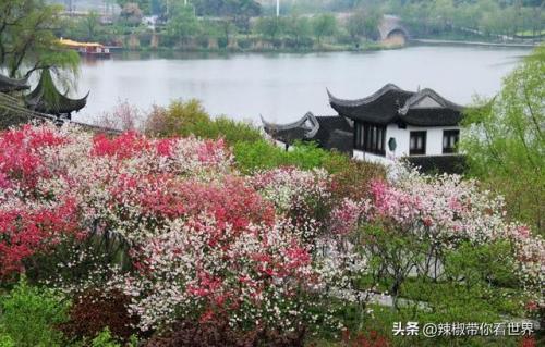 泰州古迹景点排名前十(泰州人文景点排名前十)插图24