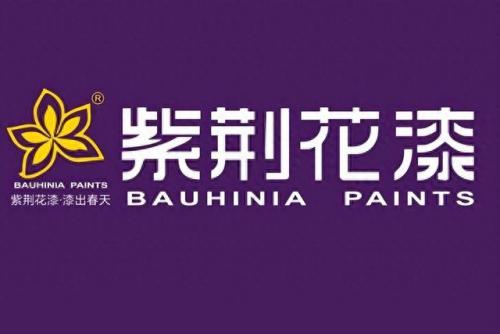 中国汽车涂料排名榜前十(最新涂料十大排名)插图2