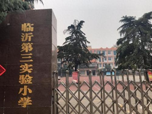 临沂小学排名前十(罗庄最好的小学排名榜)插图5