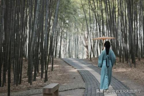 中华养生智慧(中华养生益生功)插图2