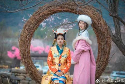 广场舞最美西藏(抖音上最火的西藏舞)插图23