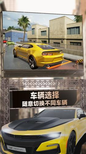 停车模拟相关截图预览(新真实停车模拟器)插图4