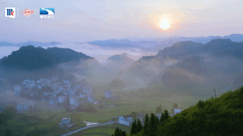 松滋餐饮排名前十(松滋最火的餐馆)插图1
