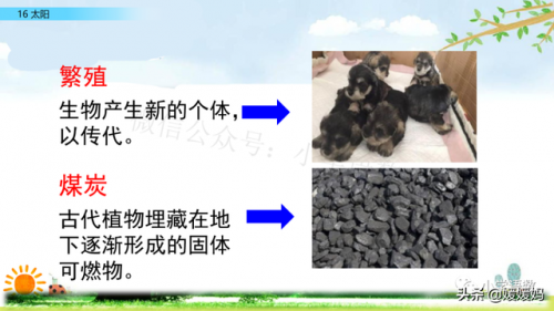 信服的近义词是什么(信服的意思)插图25