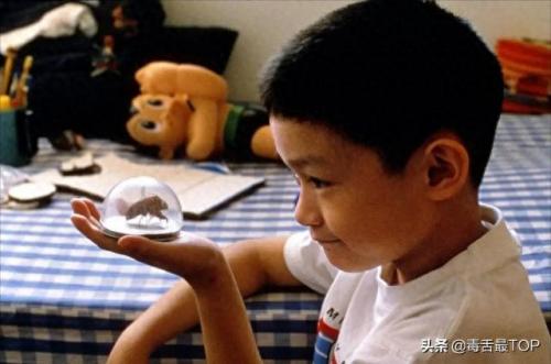 电影排名top前十(电影排行榜前三十)插图31