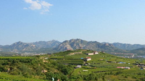 青岛金矿排名前十(山东黄金金矿排名)插图2