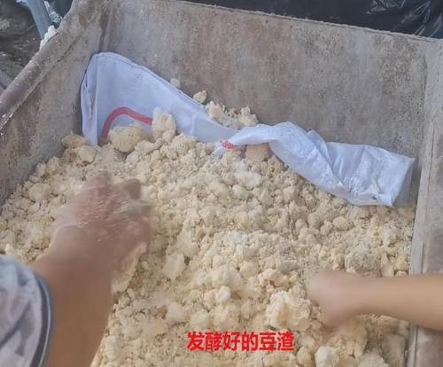 广东豆渣厂家排名前十(广东豆渣厂家直销)插图1