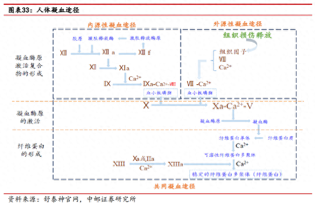 武汉生物制品厂排名前十(武汉十大食品厂)插图25