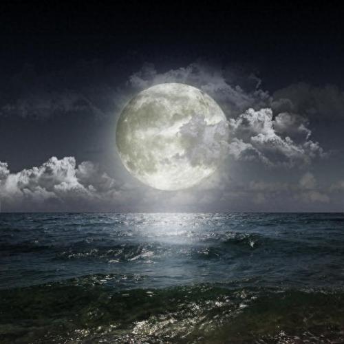 孤月沧浪河汉清下一句(我与春风皆过客你携秋水揽星河)插图7