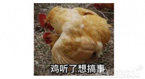 边境ol(边境检察官手机版怎么玩)插图3