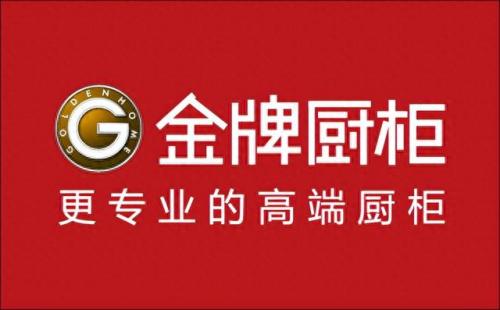 翔安橱柜排名前十(丽博橱柜全国排名)插图3