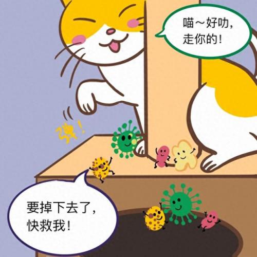 植澈消毒喷雾(植澈消毒喷雾的危害)插图3