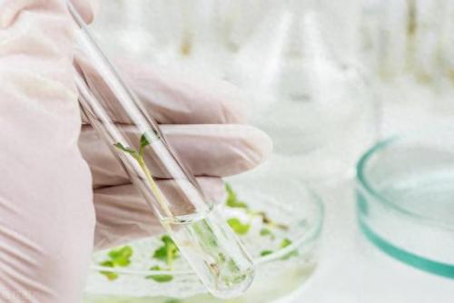 科学生物学的排名前十(生物学考研难度排名)插图6