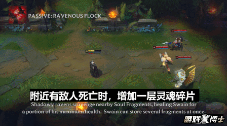 海贼参谋 斯维因(海贼斯维因)插图3