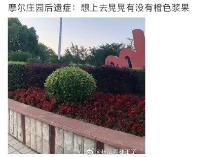 摩尔庄园小镇(摩尔庄园小镇在哪)插图19