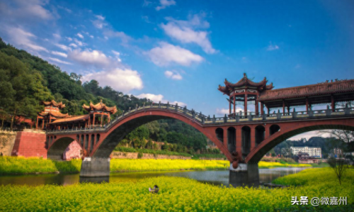 排名前十个(前20名排名)插图9