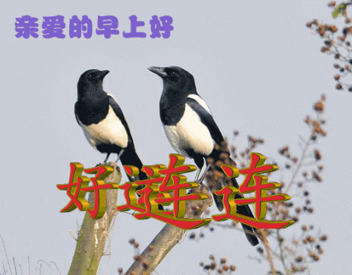 平安顺遂一般送给谁的(平安顺遂图片)插图11