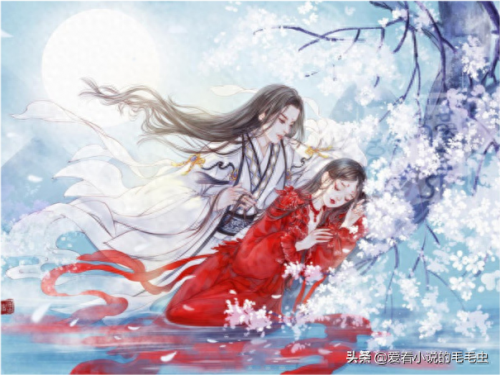 庶女的生存法则(淑女的生存法则)插图4