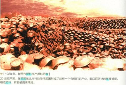 血奴事件(血奴案调查结果)插图16